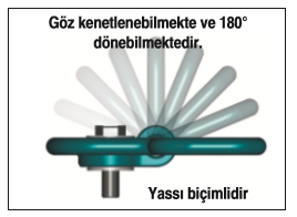 Fırdöndülü Mapa, Grade 10